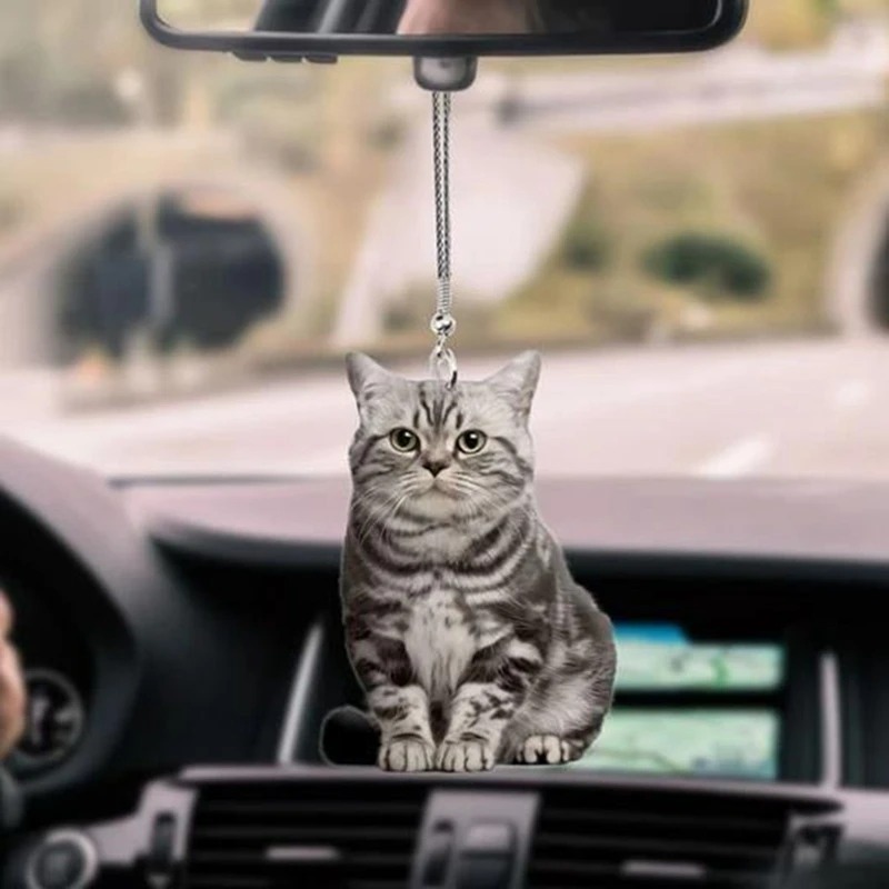 Colgante de espejo retrovisor  - Car Accessories Mirror Hanging reseña y precio